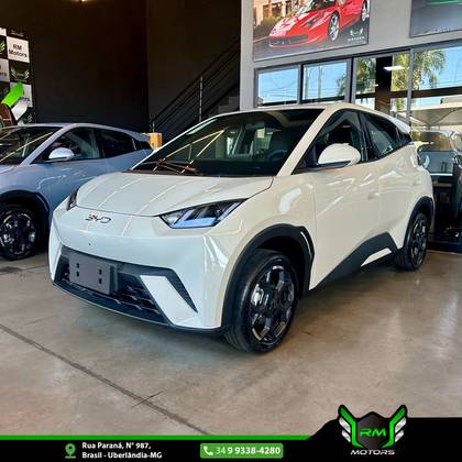 BYD DOLPHIN MINI 38 KW ELÉTRICO GS